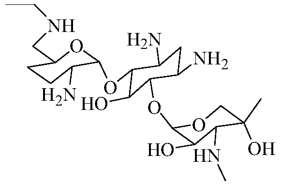Synthesis method of 6''-N-ethyl gentamicin C1a