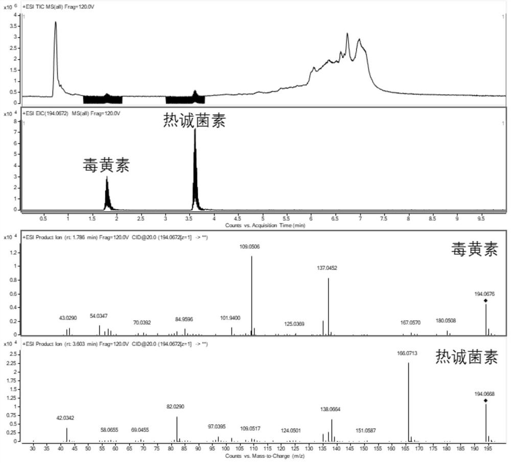 Method for detecting toxoflavin and hotchenkine in food and degradation products of toxoflavin and hotchenkine