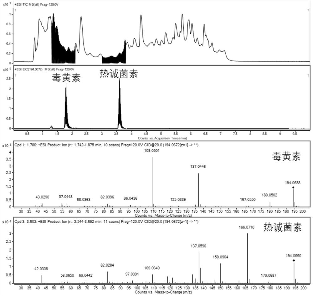 Method for detecting toxoflavin and hotchenkine in food and degradation products of toxoflavin and hotchenkine