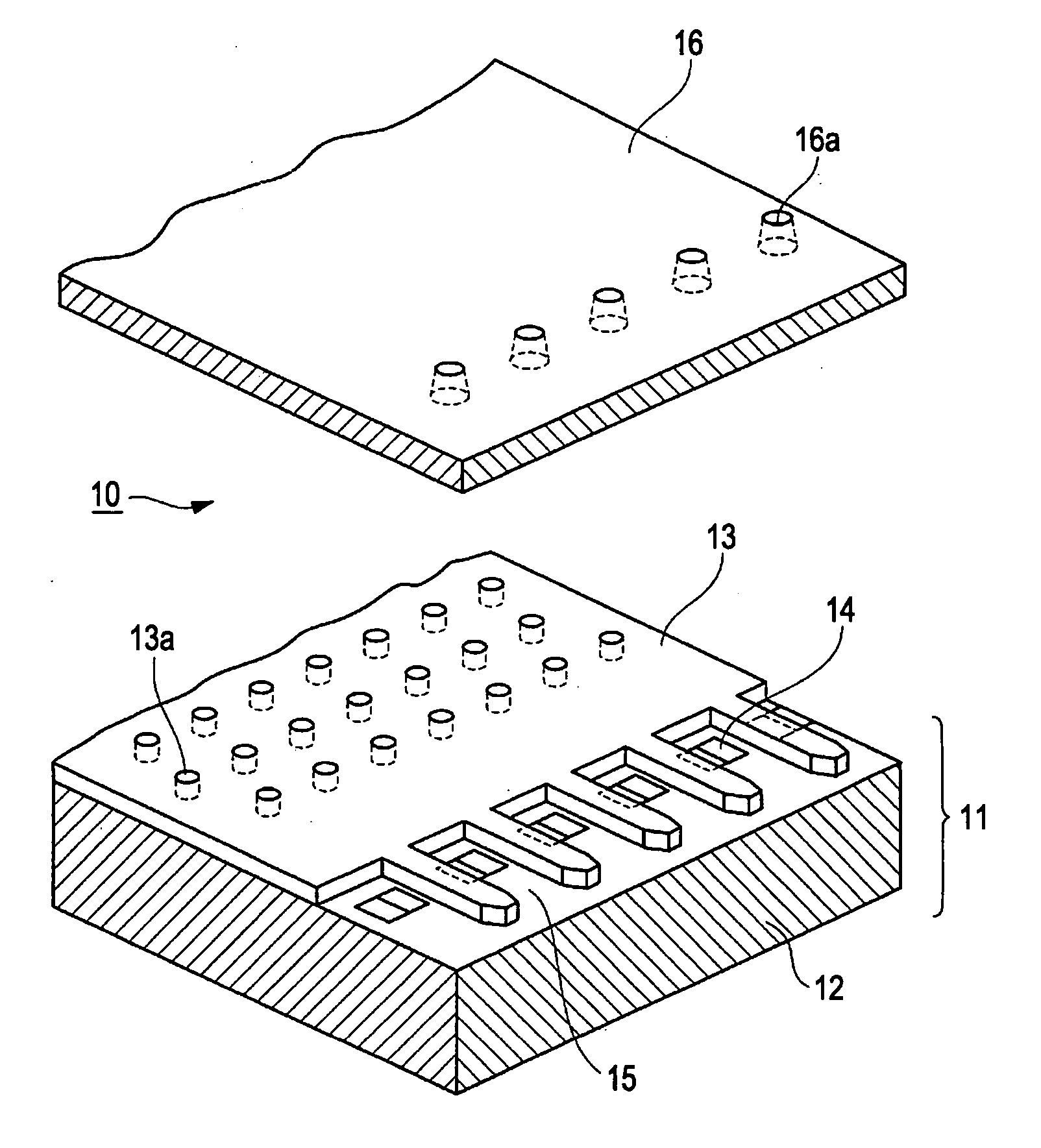 Liquid ejection head, liquid ejection apparatus, and manufacturing method of liquid ejection head