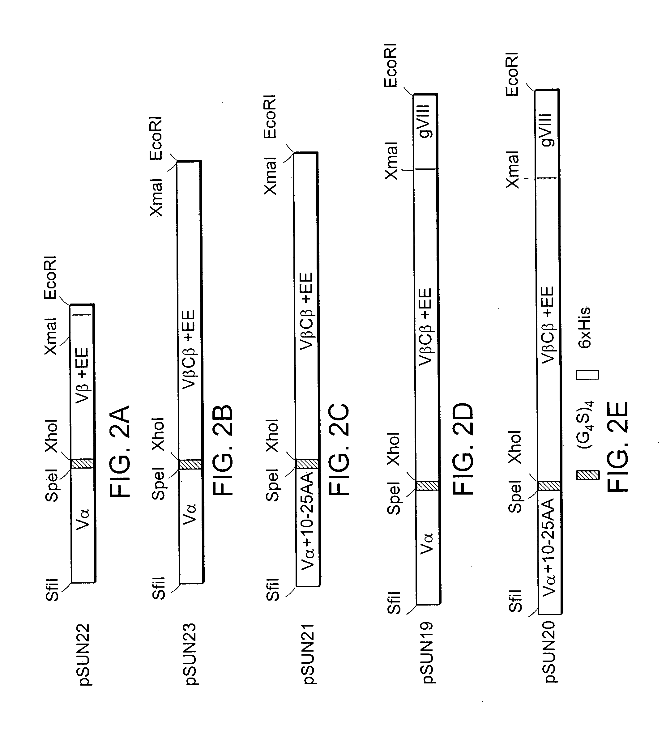 Polyspecific binding molecules and uses thereof