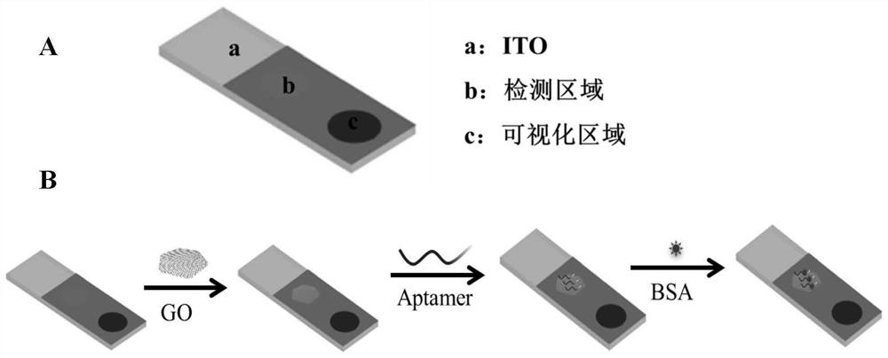 Construction method of visual electrochemical luminescence sensor based on ruthenium (II) coordination compound and application of visual electrochemical luminescence sensor in detection of OTA