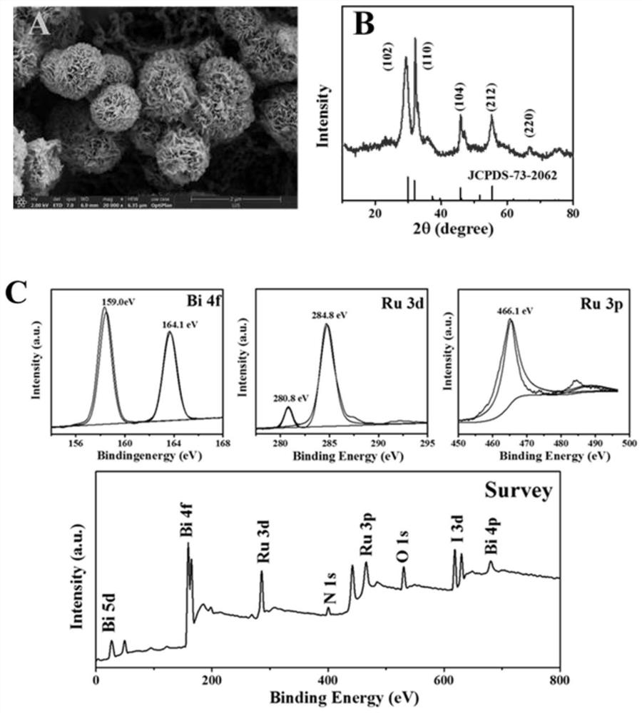 Construction method of visual electrochemical luminescence sensor based on ruthenium (II) coordination compound and application of visual electrochemical luminescence sensor in detection of OTA