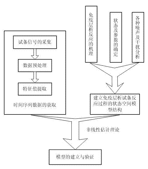 Modeling method for biochemical reaction process of immunochromatography test strip