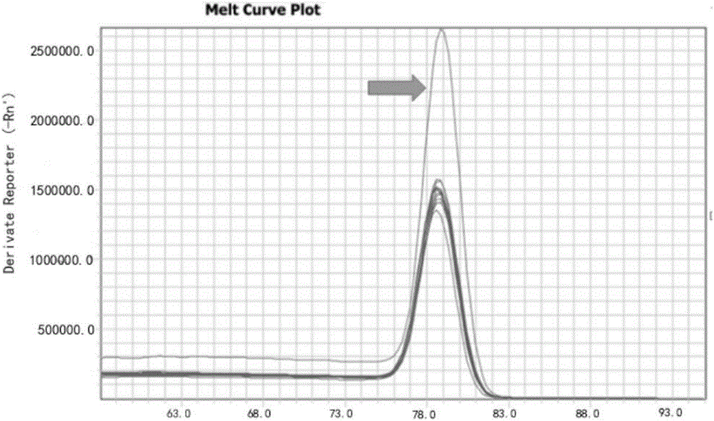 Method for accurately detecting degree of homogenization of chloroplast transformation