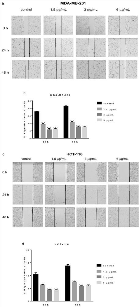 The application of the extract of chrysanthemum in the preparation of anti-oxidation and anti-tumor drugs