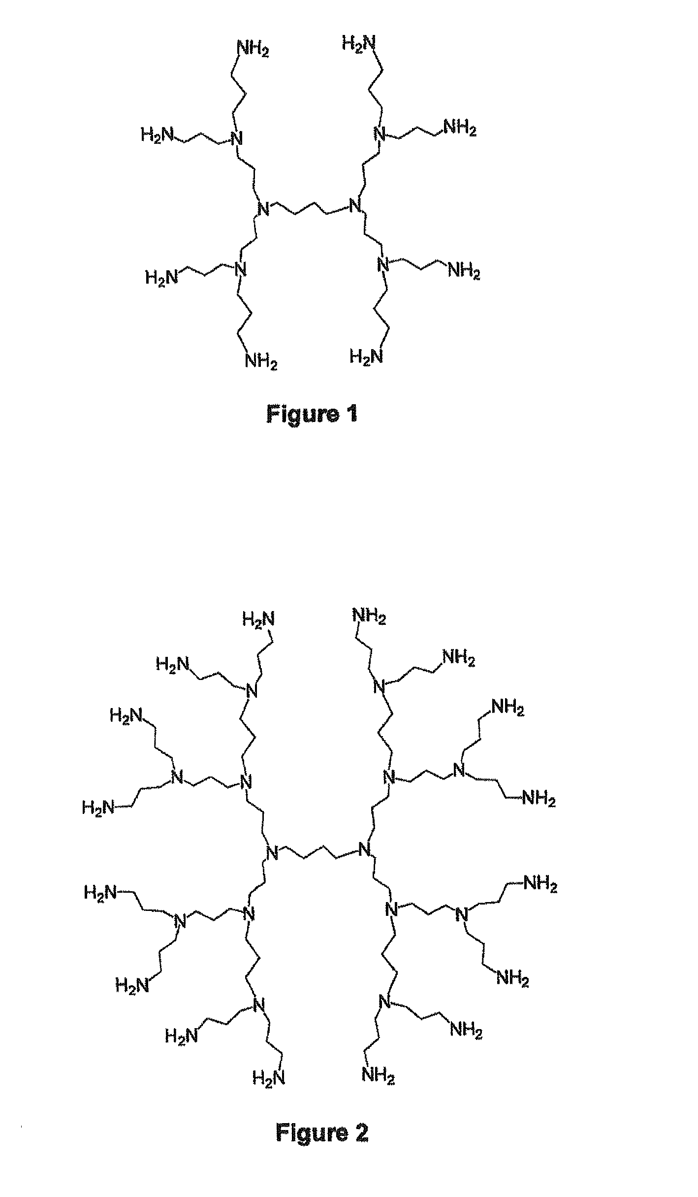 Encapsulation of vitamin c into water soluble dendrimers