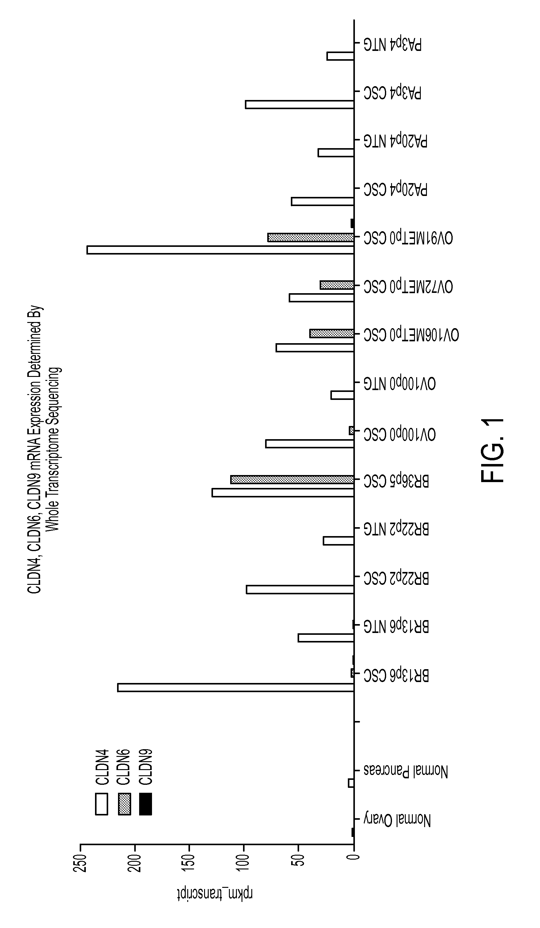 Novel Anti-claudin antibodies and methods of use