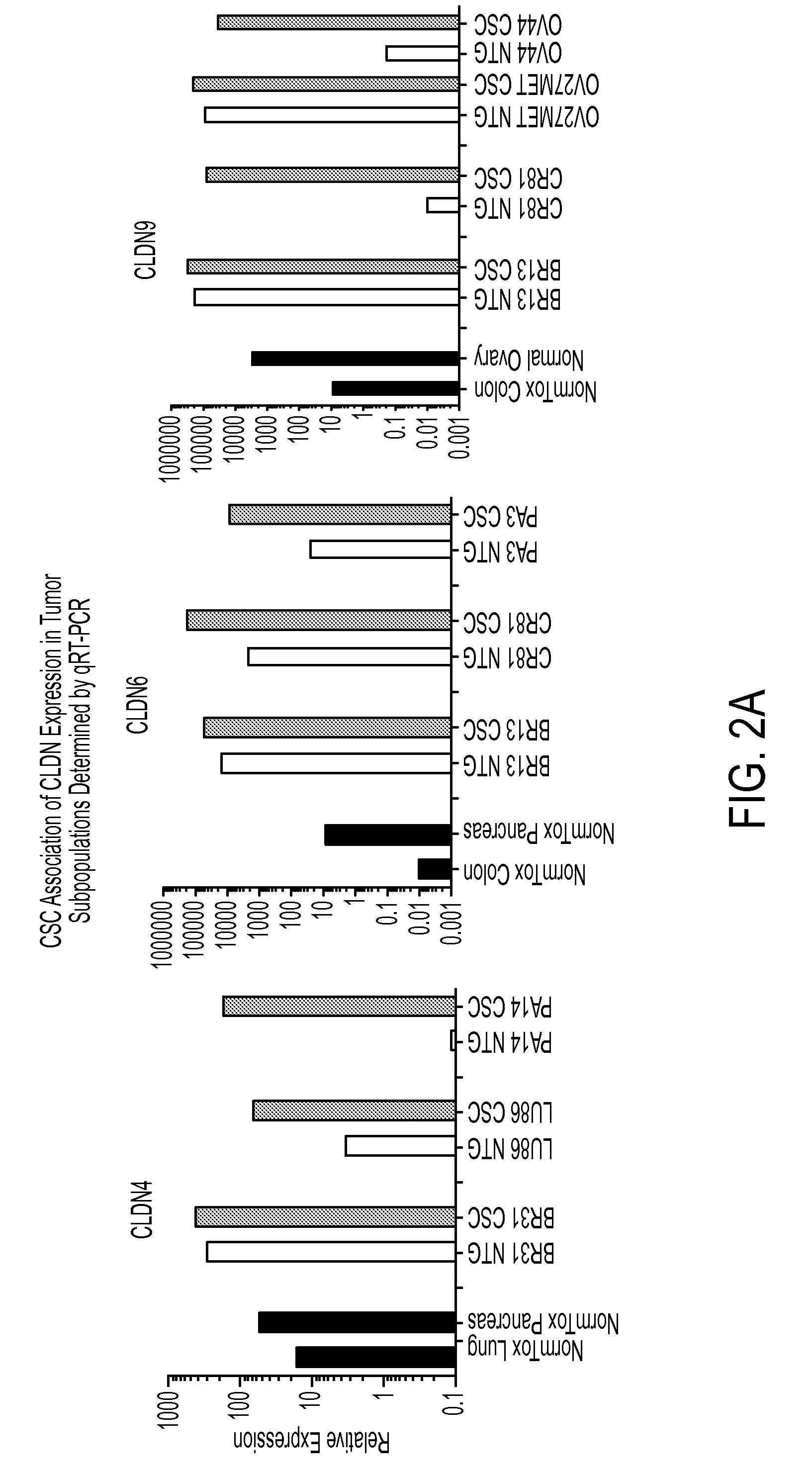 Novel Anti-claudin antibodies and methods of use