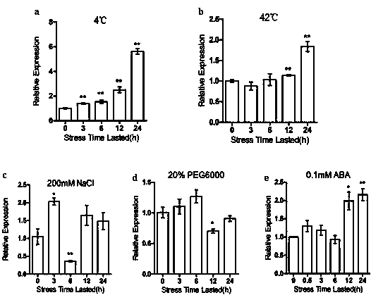 Rice stress resistance related gene OsPP2C44 and coded protein and application thereof