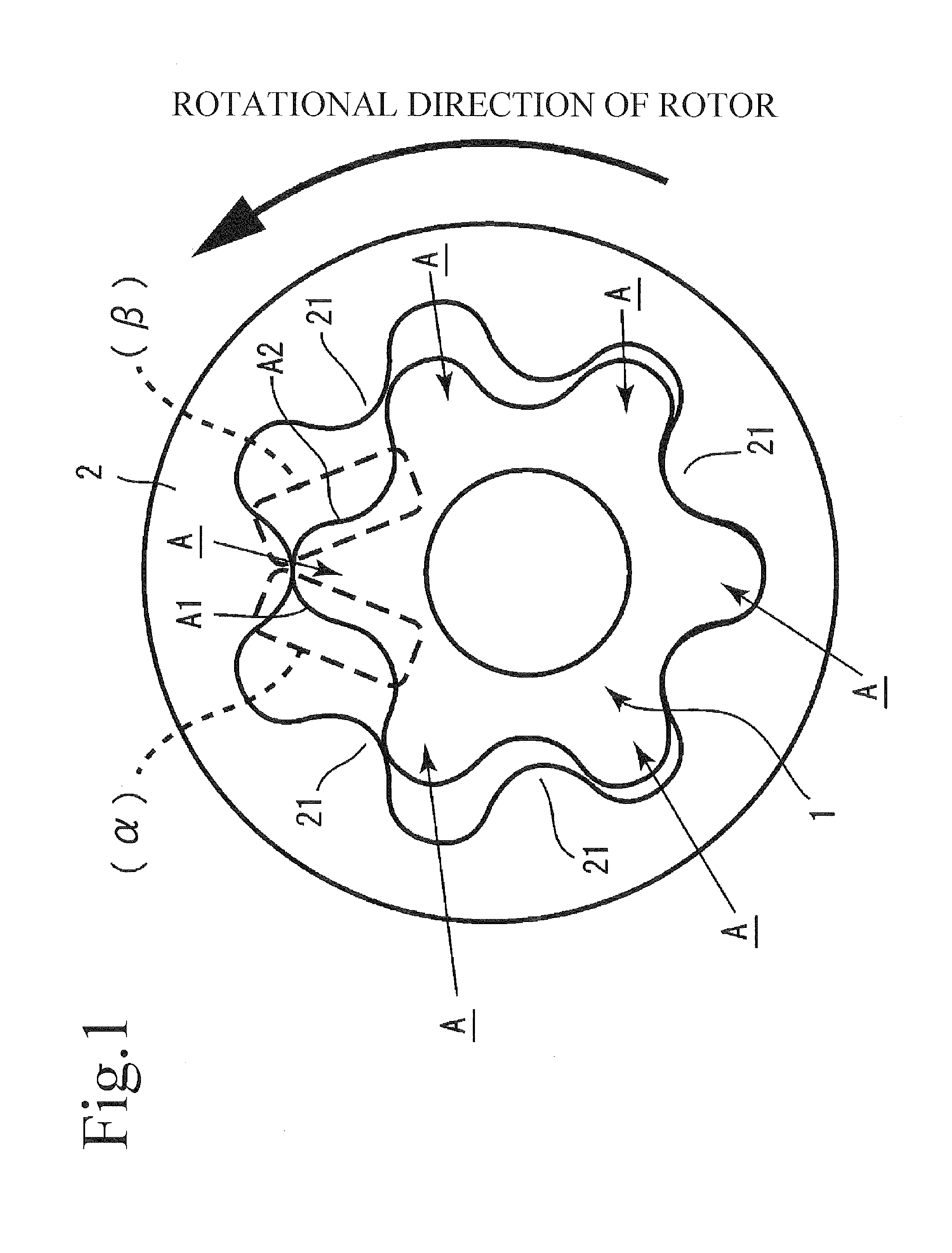 Rotor for oil pump with different contours for the drive-side versus non-drive side of the teeth