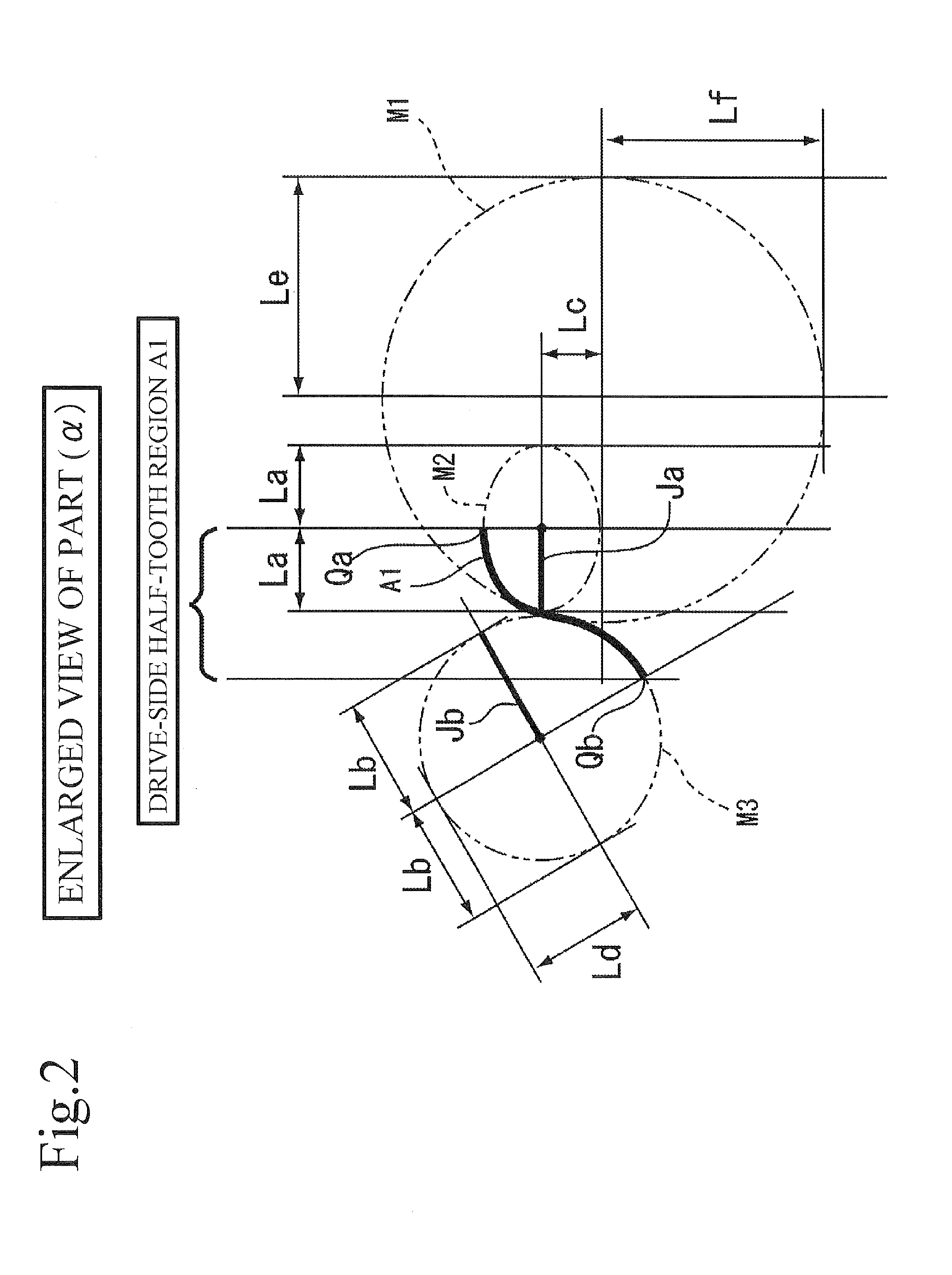 Rotor for oil pump with different contours for the drive-side versus non-drive side of the teeth