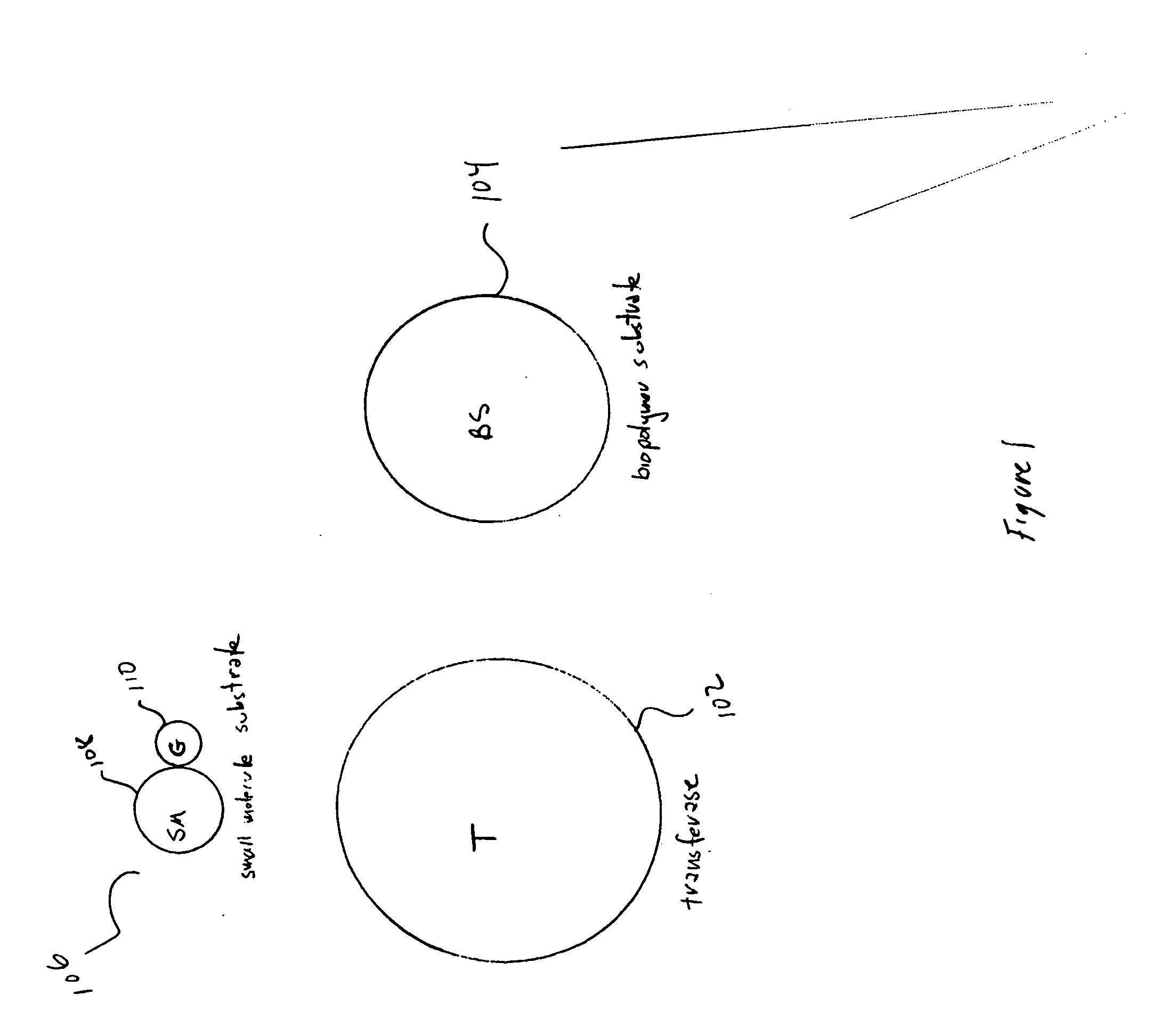 Method and system for assaying transferase activity