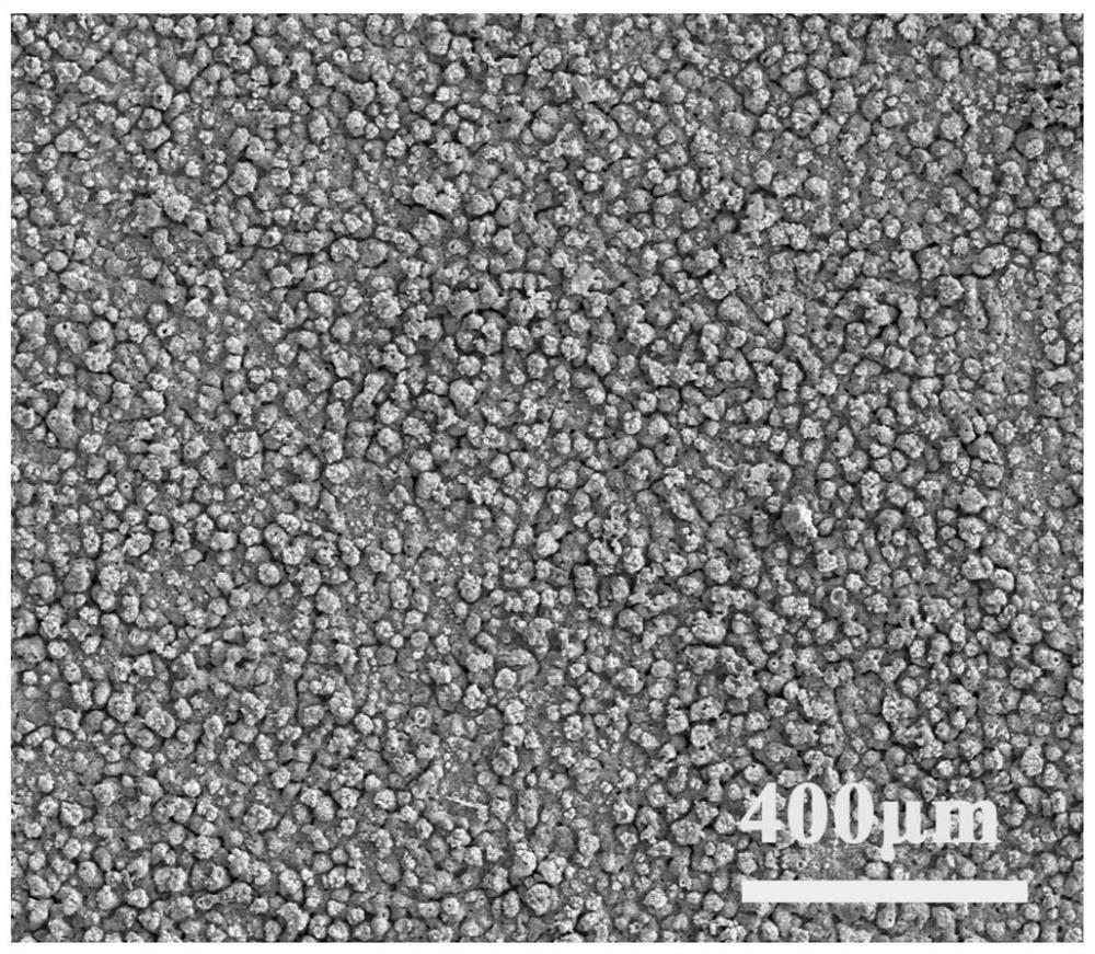 A kind of superhydrophobic composite coating on titanium surface and preparation method thereof