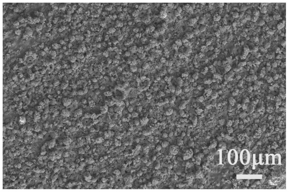 A kind of superhydrophobic composite coating on titanium surface and preparation method thereof