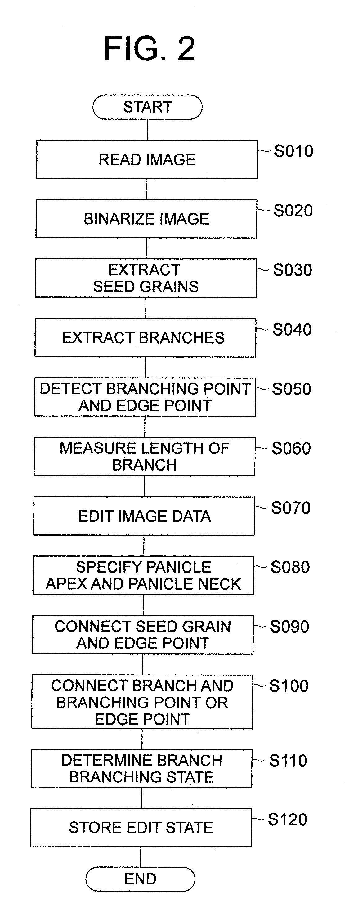 Method and apparatus for analyzing panicle structure