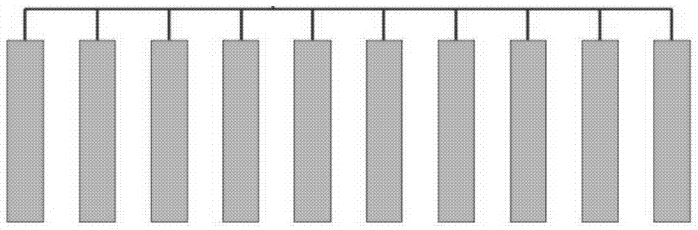 A kind of culture method and culture system of Haematococcus pluvialis algae species