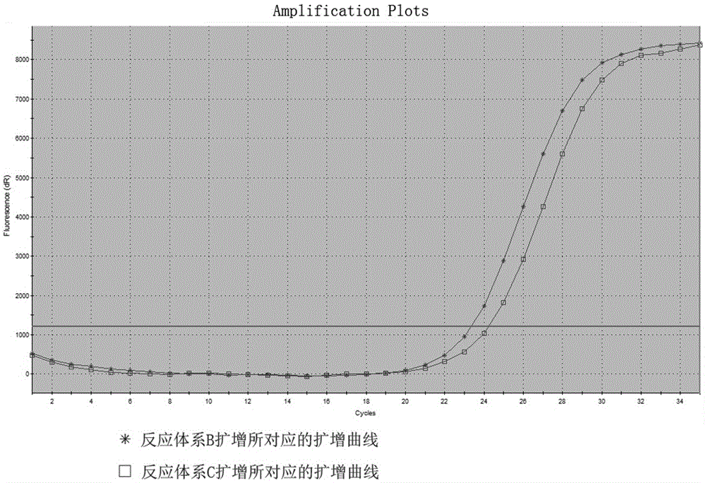 C-kit gene polymorphism detection primer system and kit thereof