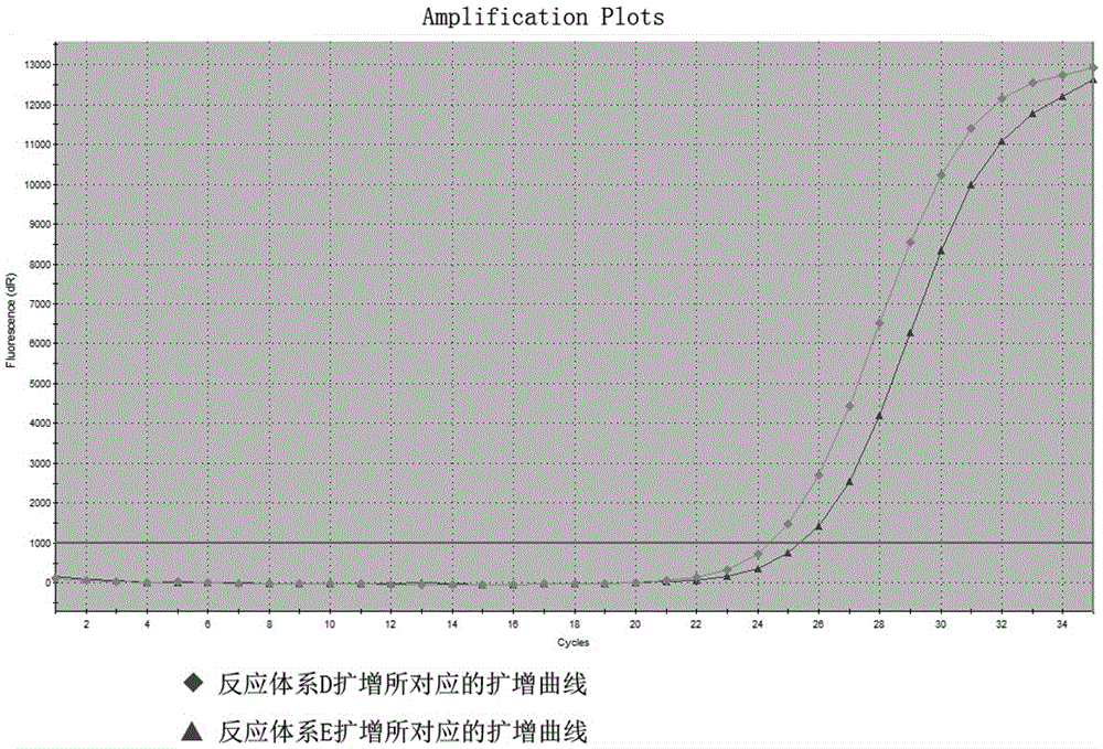 C-kit gene polymorphism detection primer system and kit thereof