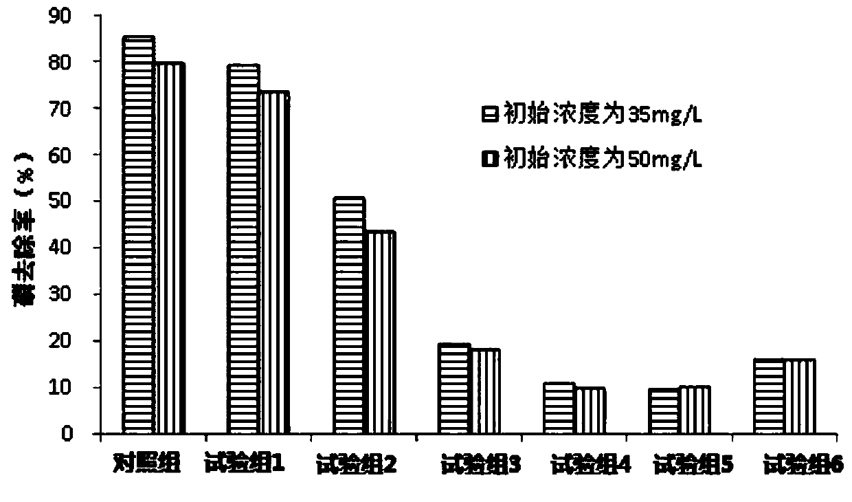 Red clay phosphorus adsorbent as well as preparation method and application thereof
