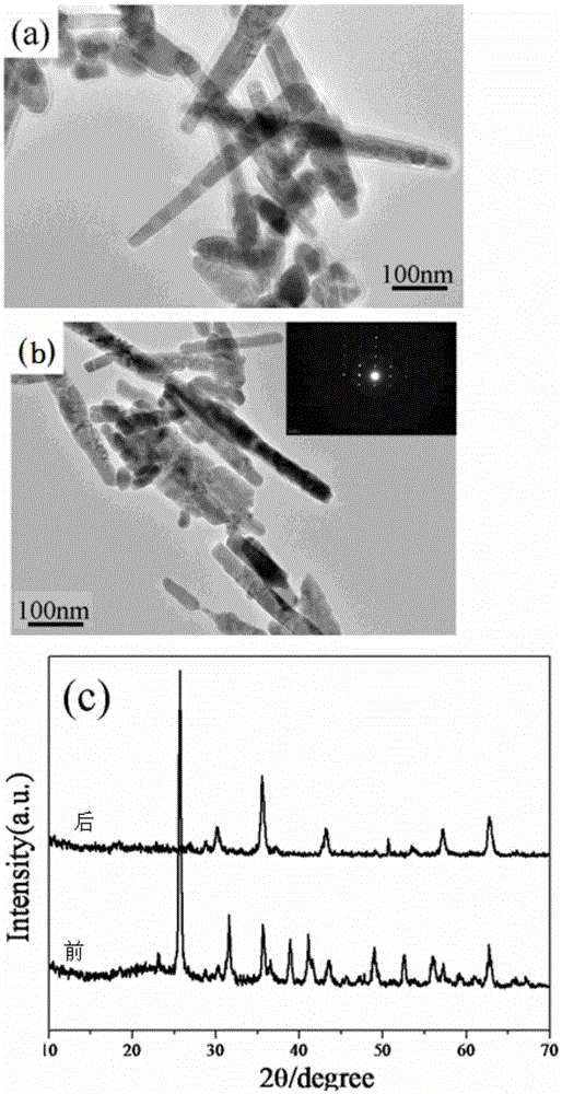 Method for macroscopic preparation of Fe3O4 nanorods