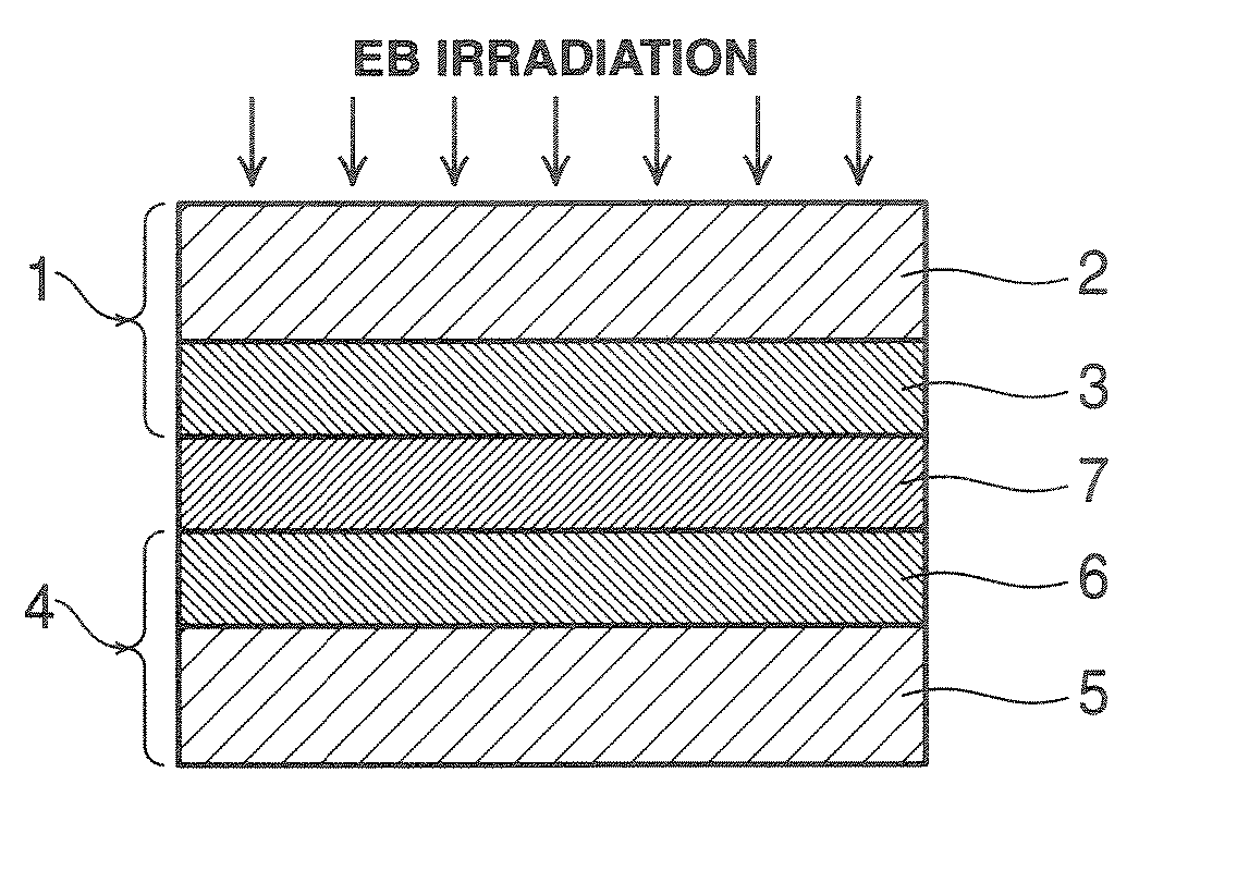 Curable resin composition for fuel cell electrolyte film and electrolyte film, process for producing the same, electrolyte film/electrode assembly, and process for producing the same