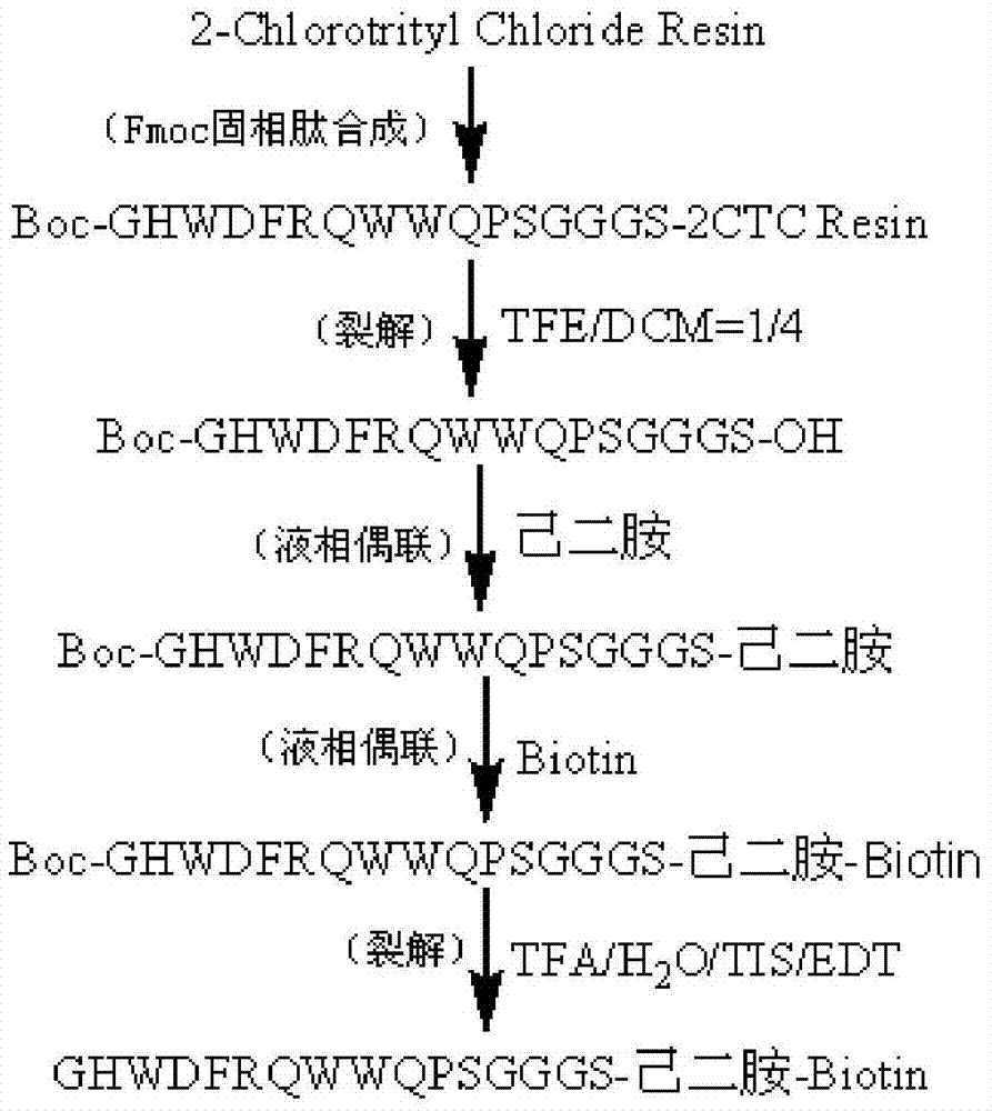 C-terminal modification peptide analysis method