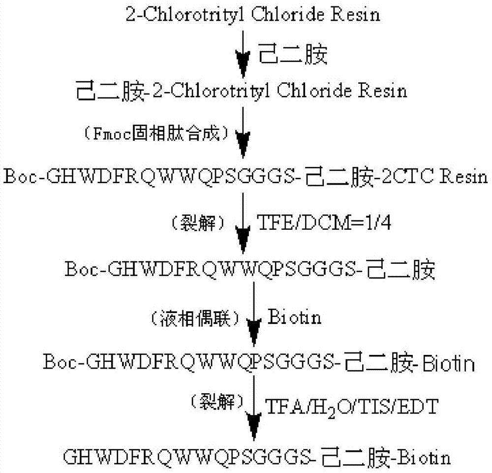 C-terminal modification peptide analysis method