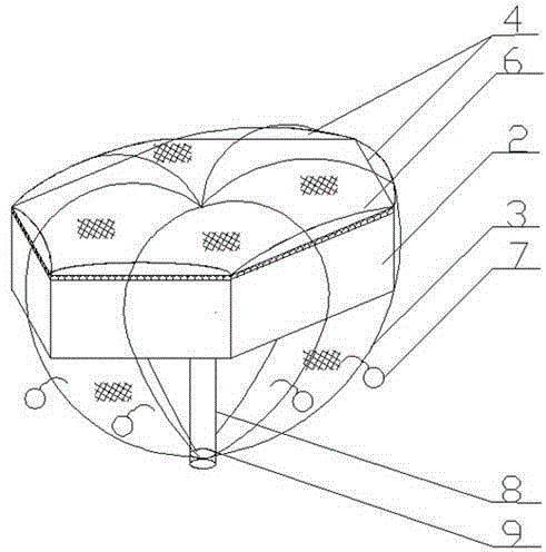 Vulgaris half-isolated mariculture cages and farming method