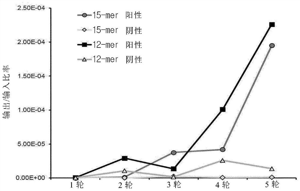 Novel tlr4 antagonists