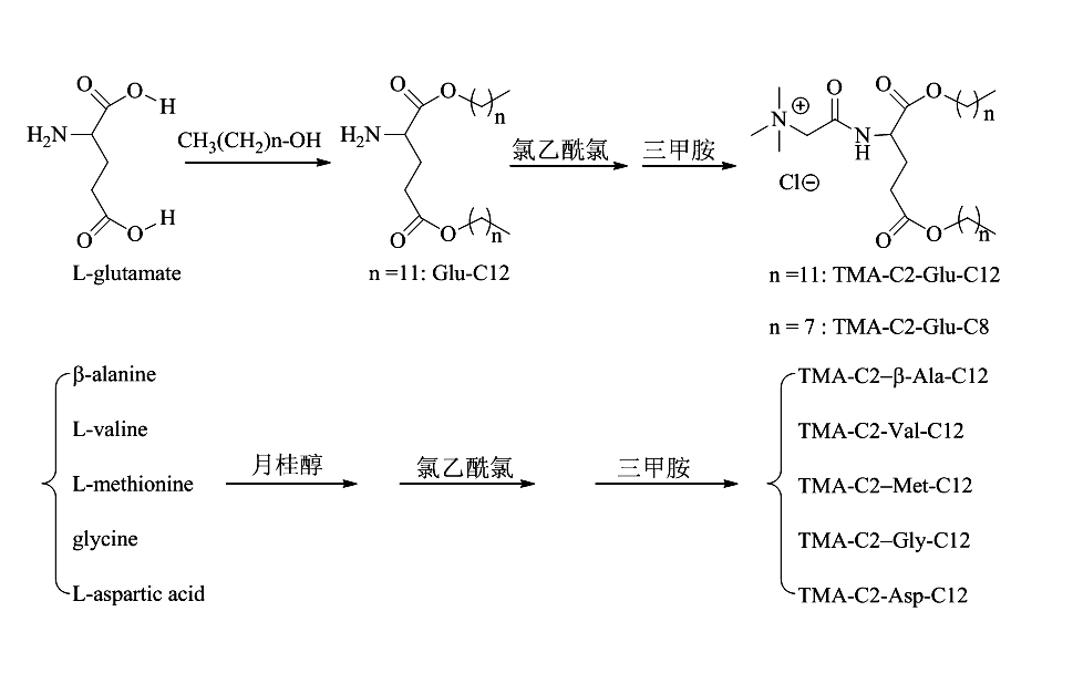 Preparation method of cationic liposome nanoparticles of amino acid
