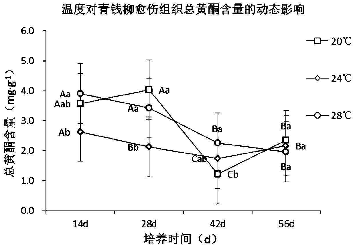 Culture method capable of promoting cyclocarya paliurus callus growth and secondary metabolite accumulation