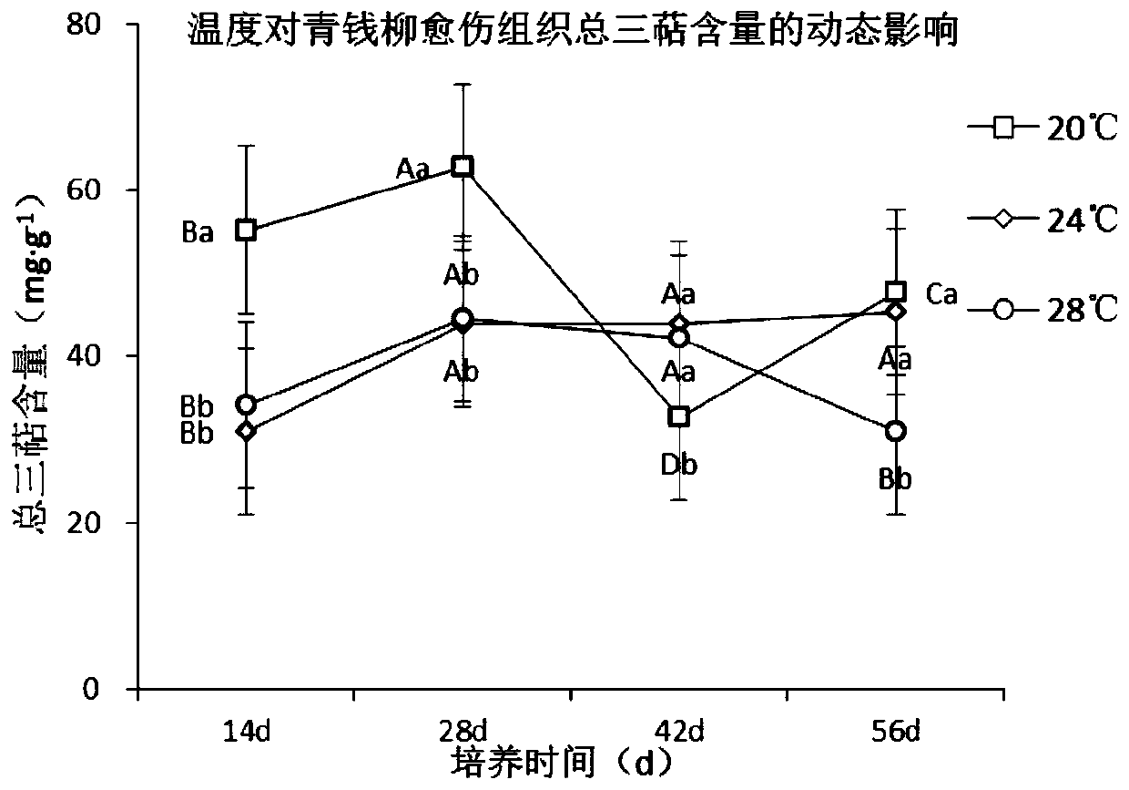 Culture method capable of promoting cyclocarya paliurus callus growth and secondary metabolite accumulation