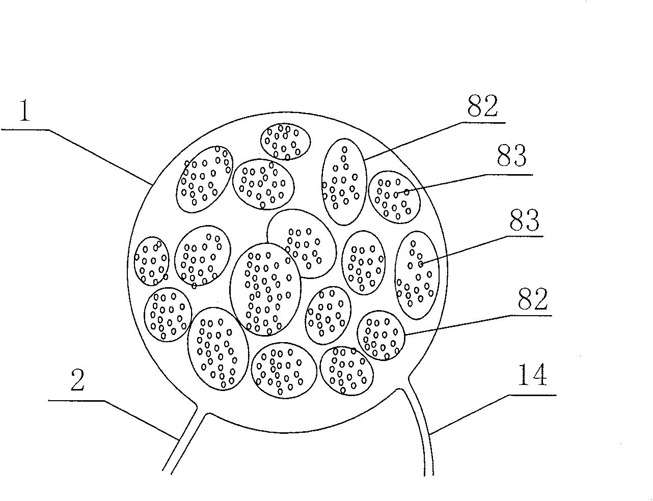 Automatic expanding device for implantation in human body