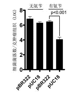 Therapeutic gene for anaerobic tissue targeting delivery and selectivity stabilization expression method and its application