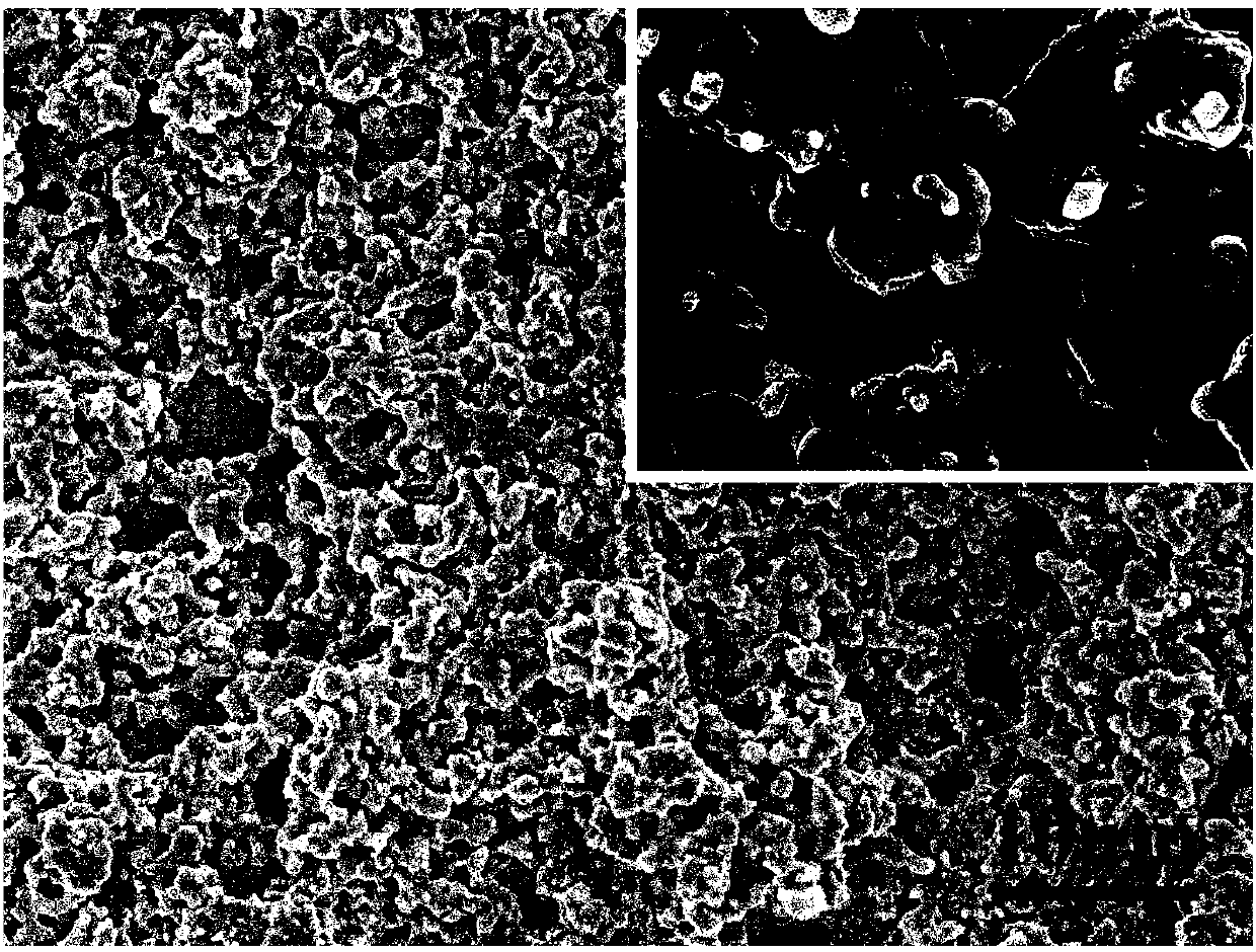 CeO2-based acetone sensor with SrMnO2 as sensitive electrode and preparation method and application of CeO2-based acetone sensor