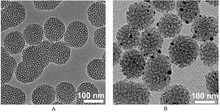 Bionic nano material for sonodynamic/gas synergistic anti-tumor treatment and preparation method of bionic nano material