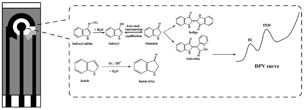 Electrochemical method for simultaneously detecting indol sulfate and indole