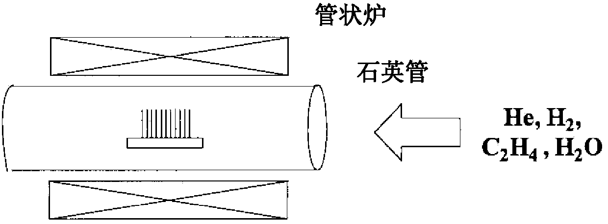 Carbon nanotube assembly and viscoelastic body using same