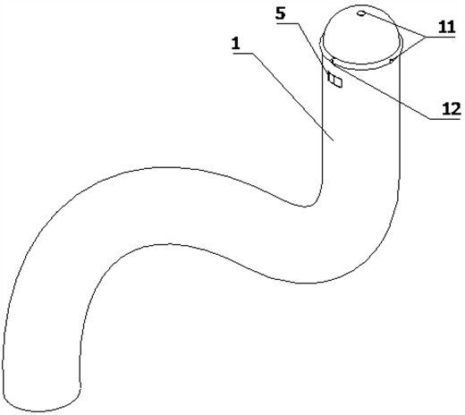 A special sampler for digestive tract tumor biopsy tissue