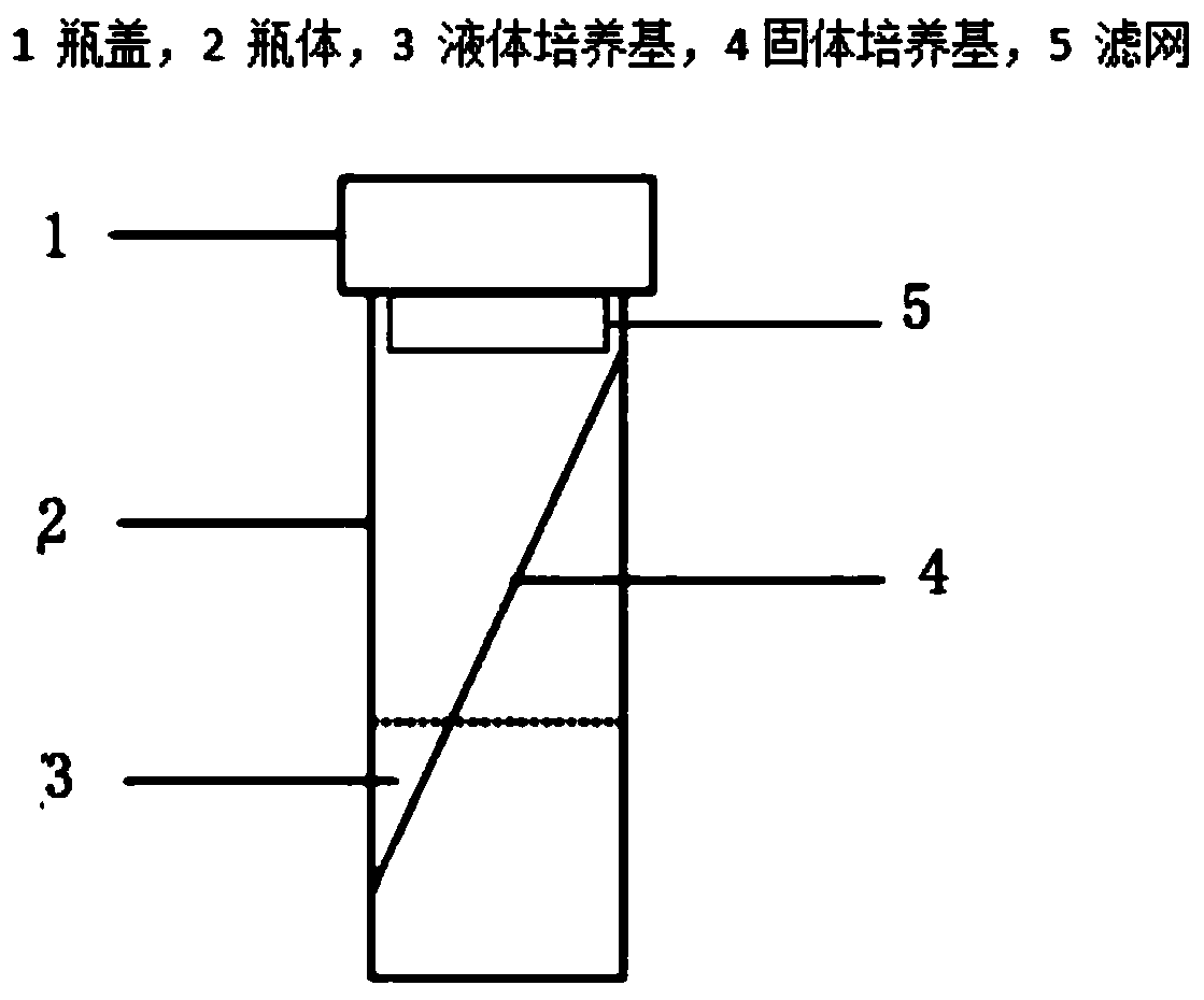 A kind of biphasic medium for urogenital mycoplasma