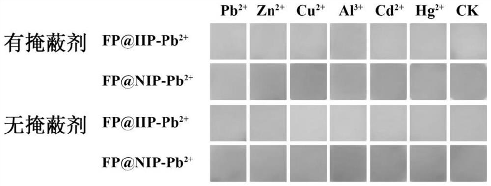 Paper-based test paper for rapidly detecting lead in tea leaves by applying ion imprinting color development