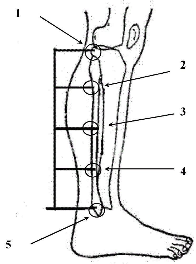 Device for preventing ankle sprains and method of use thereof