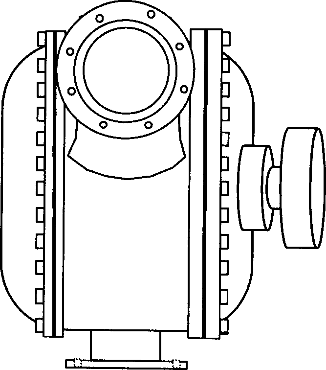 Flowmeter with movable annular rotor
