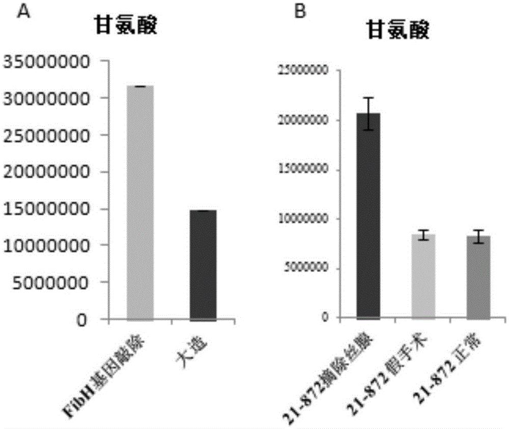 Application and method of glycine or its metabolic regulator in improving silk production of silkworm