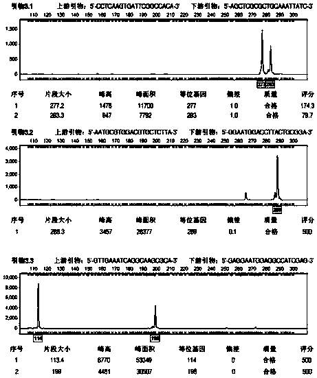 DNA bar code used for screening high-quality Tibet brown mushrooms, primer and application of DNA bar code used for screening high-quality Tibet brown mushrooms and primer
