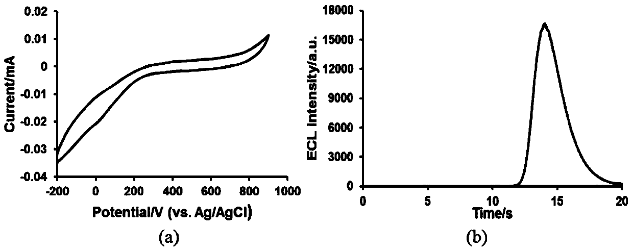 Electrochemiluminescent reagent prepared from a macrocyclic compound and its application