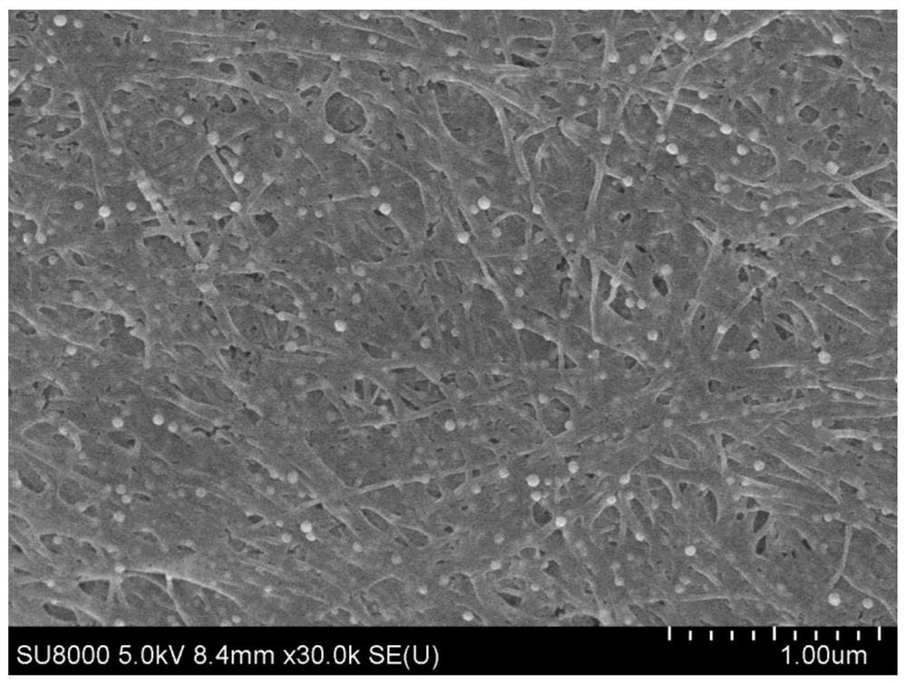 Interlayer material as well as preparation method and application thereof