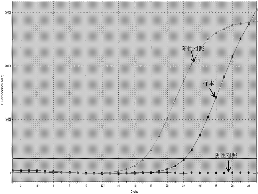 Primers, probes, detection systems and kits for one-time detection of multiple gene mutations in colorectal cancer