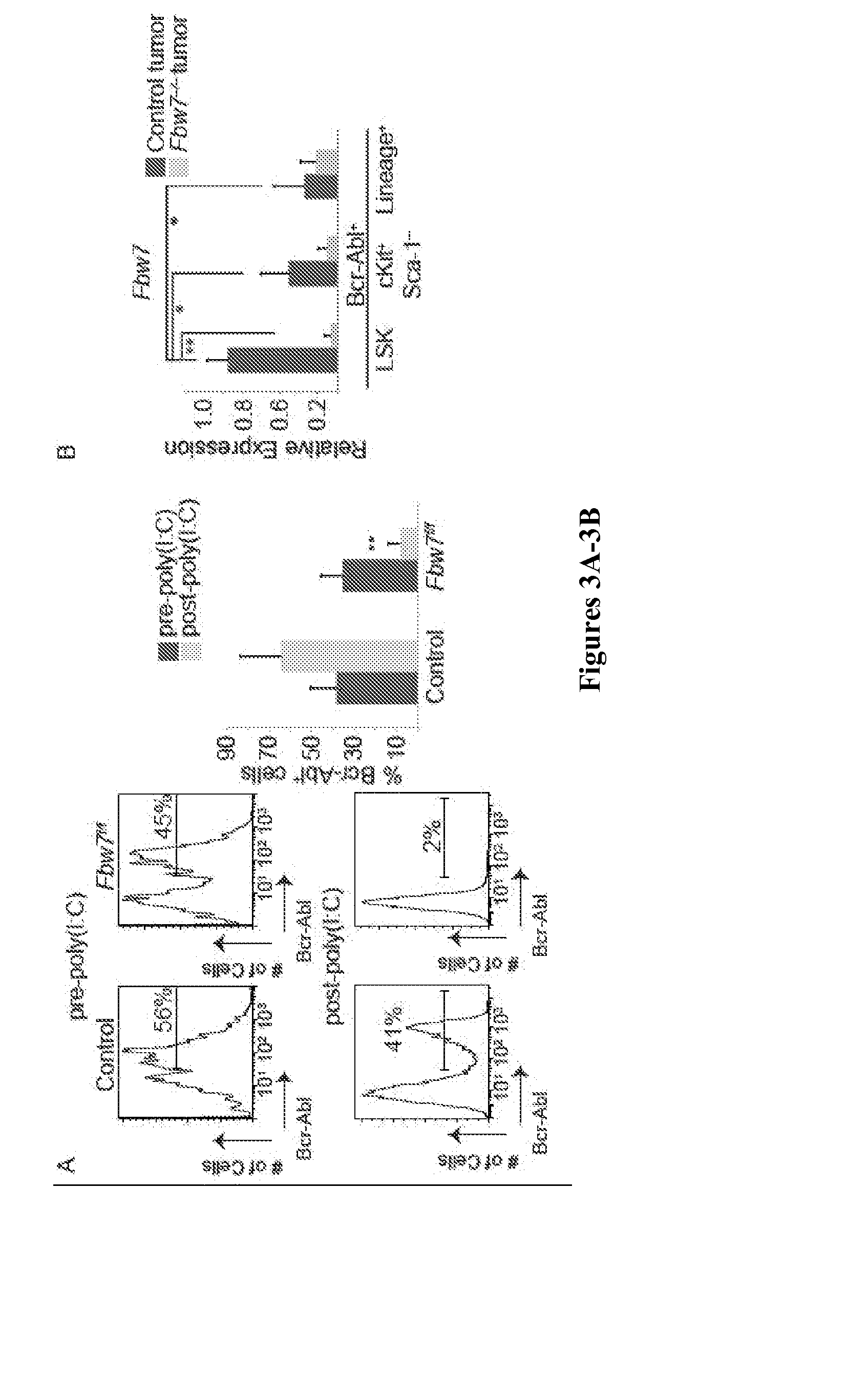 INHIBITION OF c-MYC UBIQUITINATION TO PREVENT CANCER INITIATION AND PROGRESSION